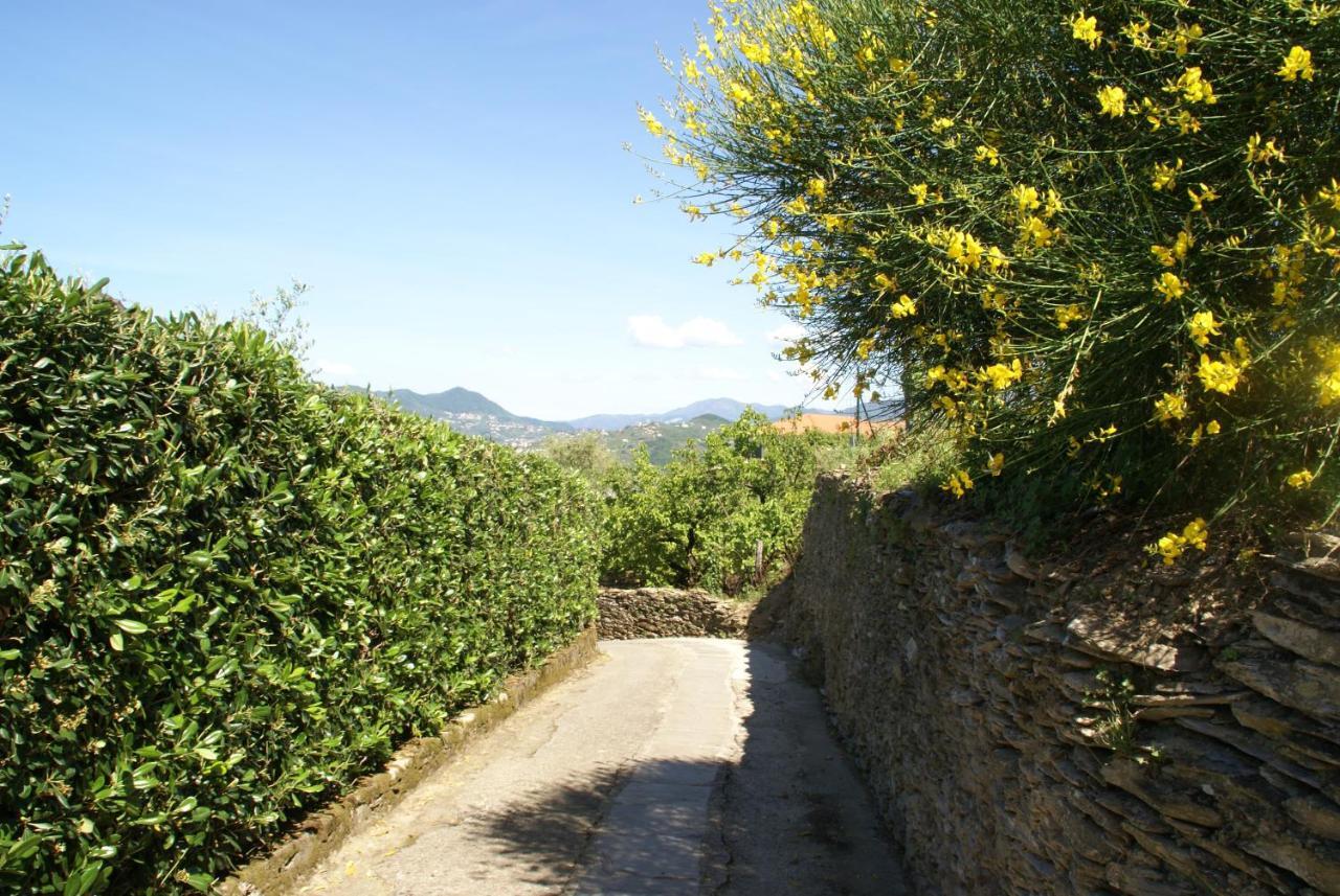 Sarina House Ocean View Villa Lavagna Bagian luar foto